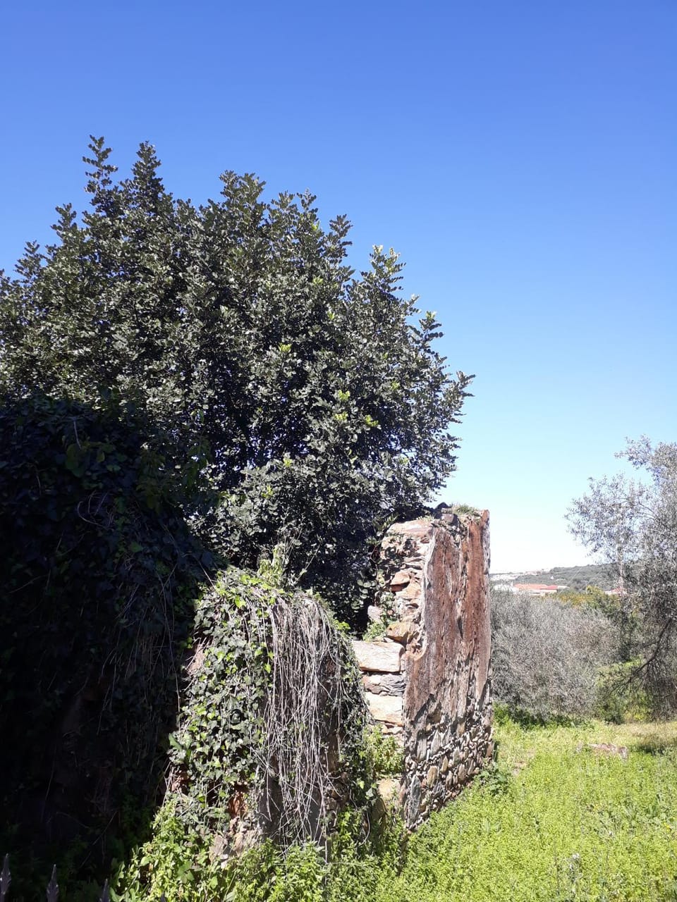 Natural landscape