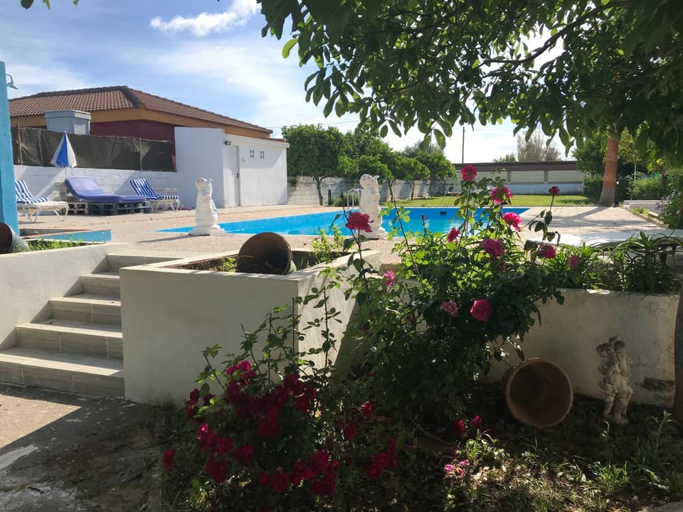 Swimming pool, Swimming pool