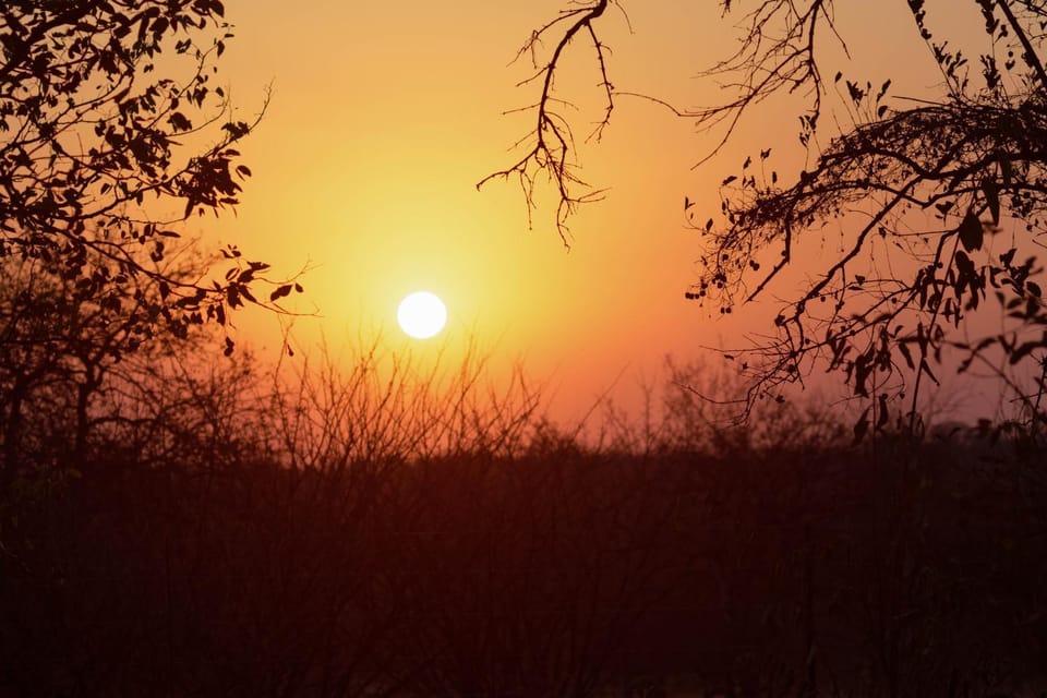 Natural landscape