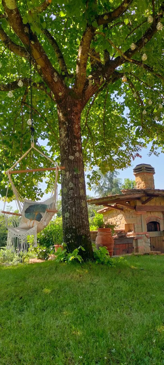 Day, Garden, Garden view