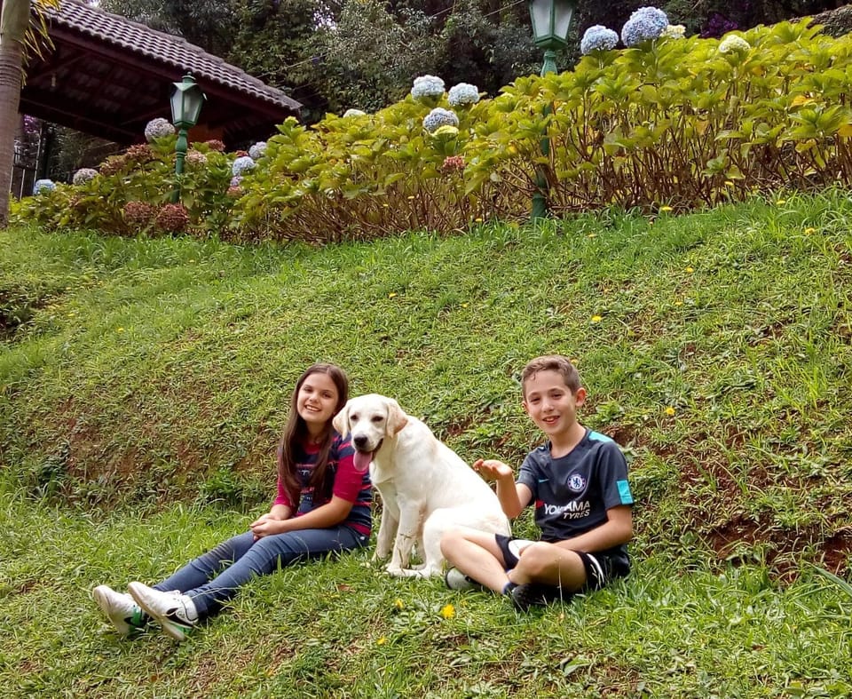 Garden, Pets, children