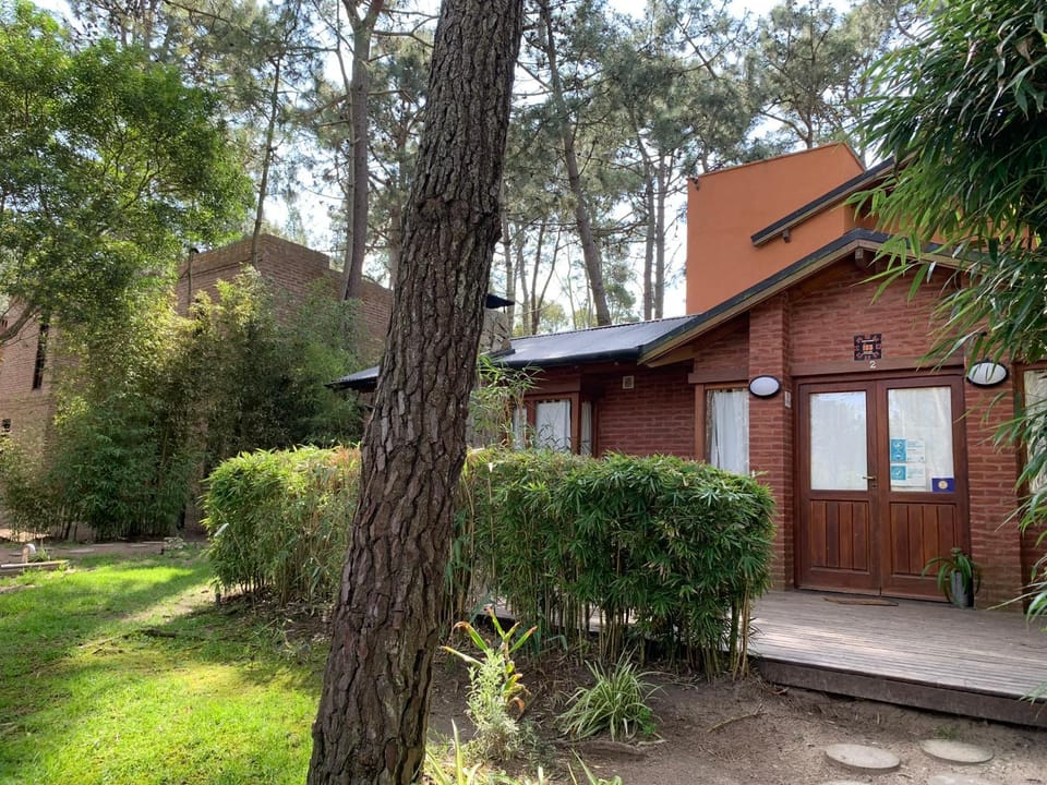 Property building, Garden view