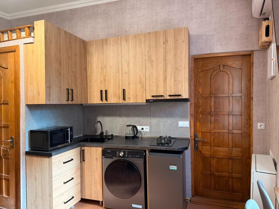 Kitchen or kitchenette, Kitchen or kitchenette, minibar, oven, washing machine, dryer
