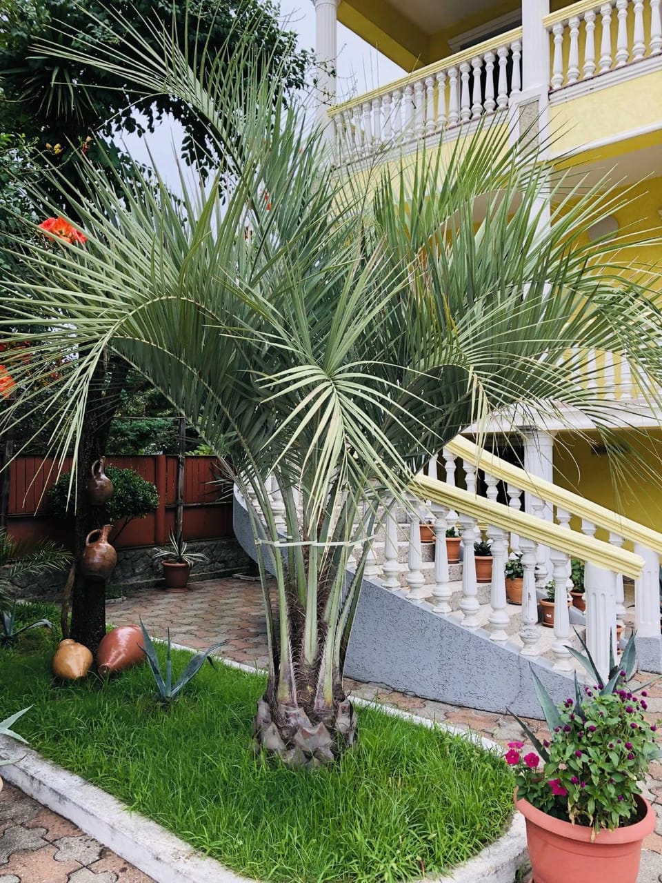 Garden view