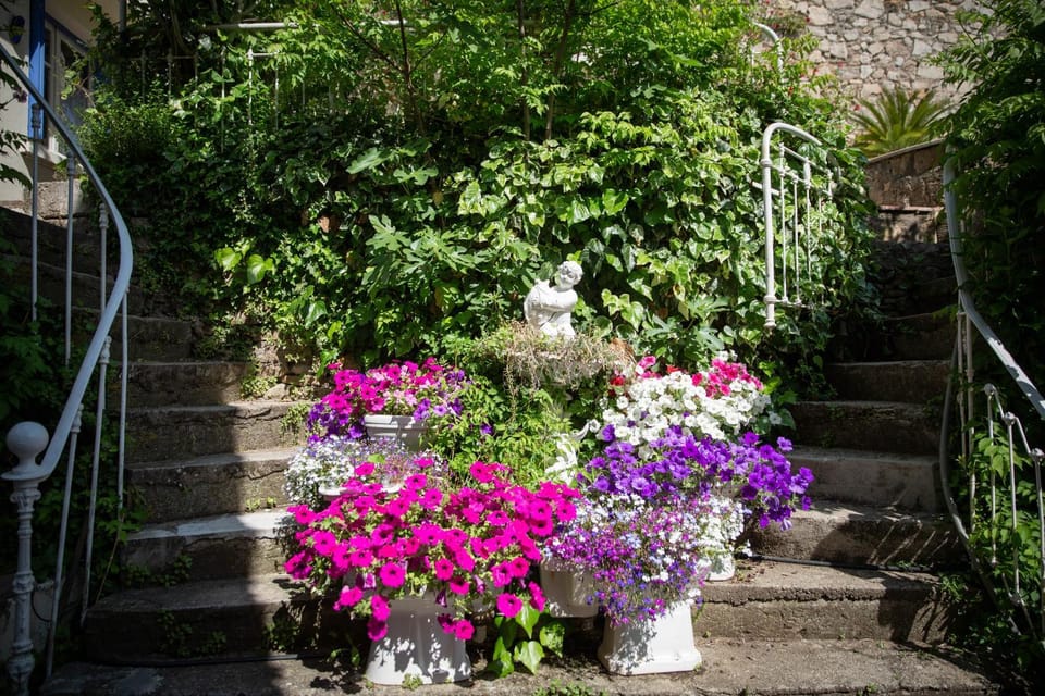 Garden, Garden view
