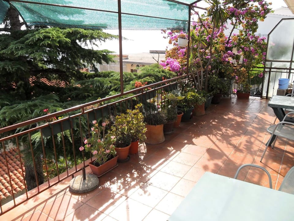 View (from property/room), Balcony/Terrace