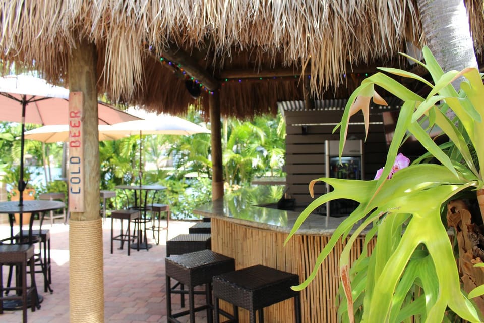 Lounge or bar, Drinks, Alcoholic drinks, Non alcoholic drinks