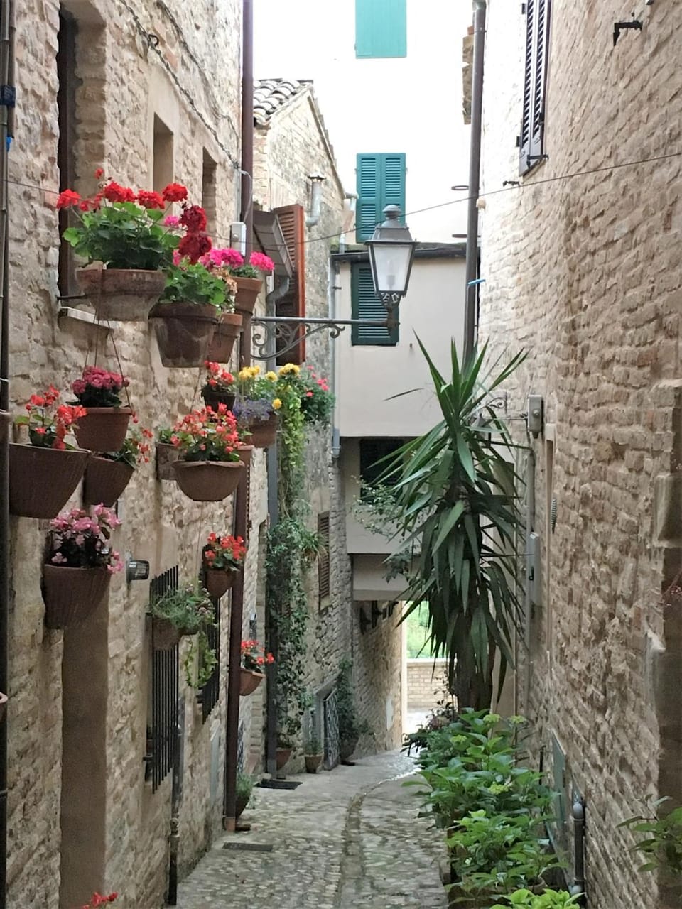 Facade/entrance, Neighbourhood, Garden