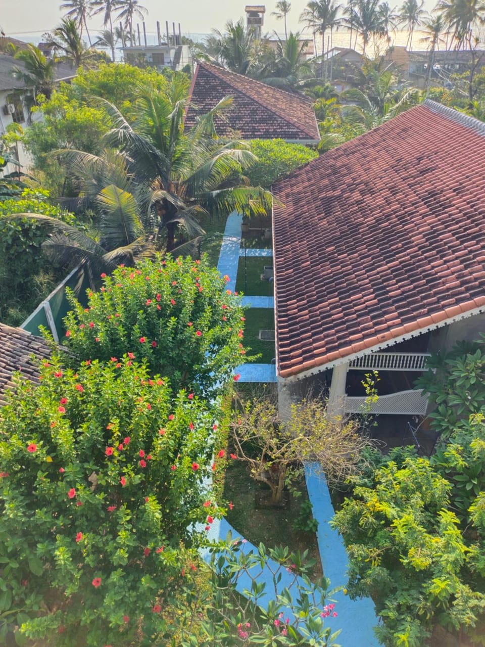 Garden view