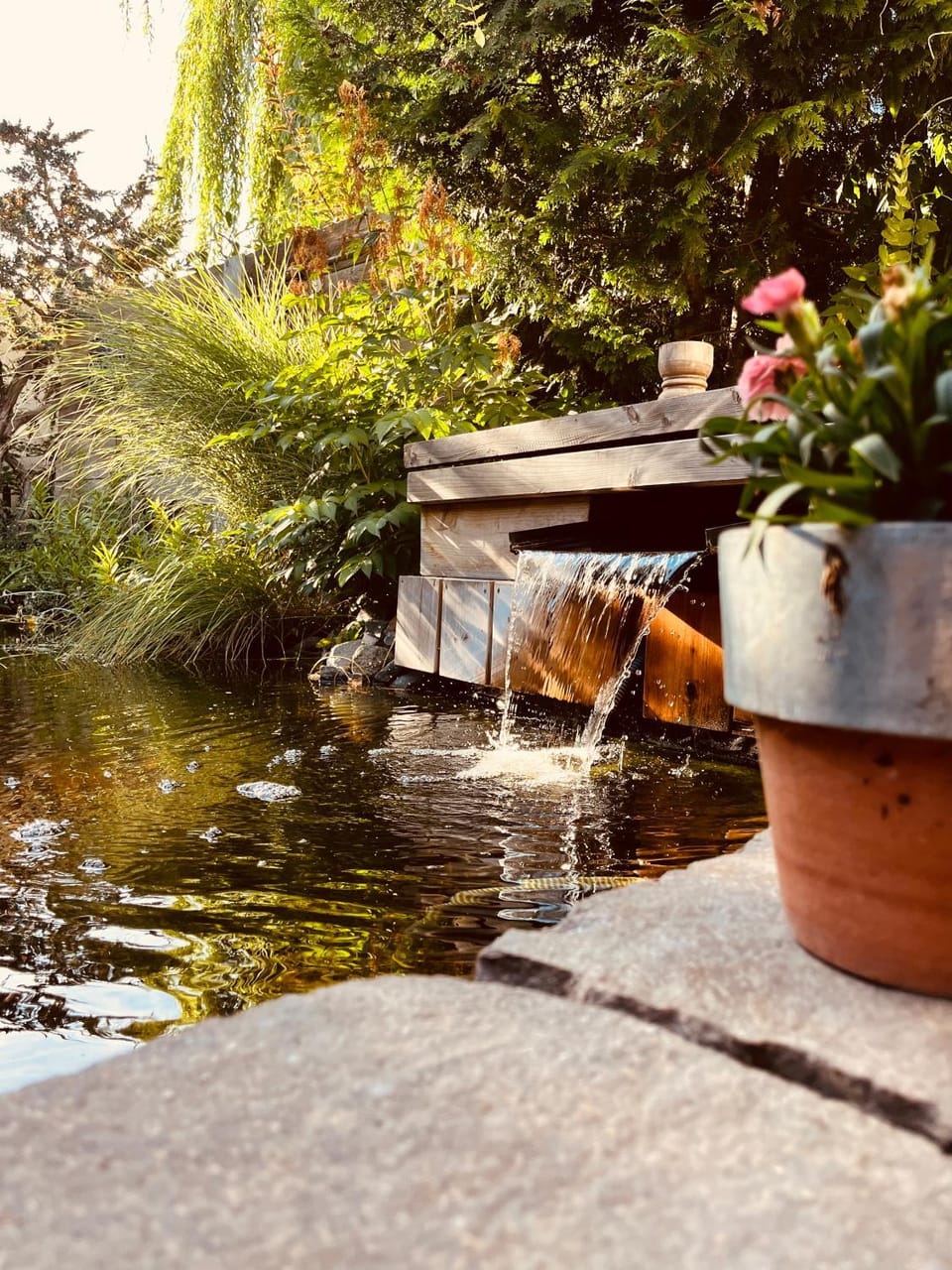 Garden view