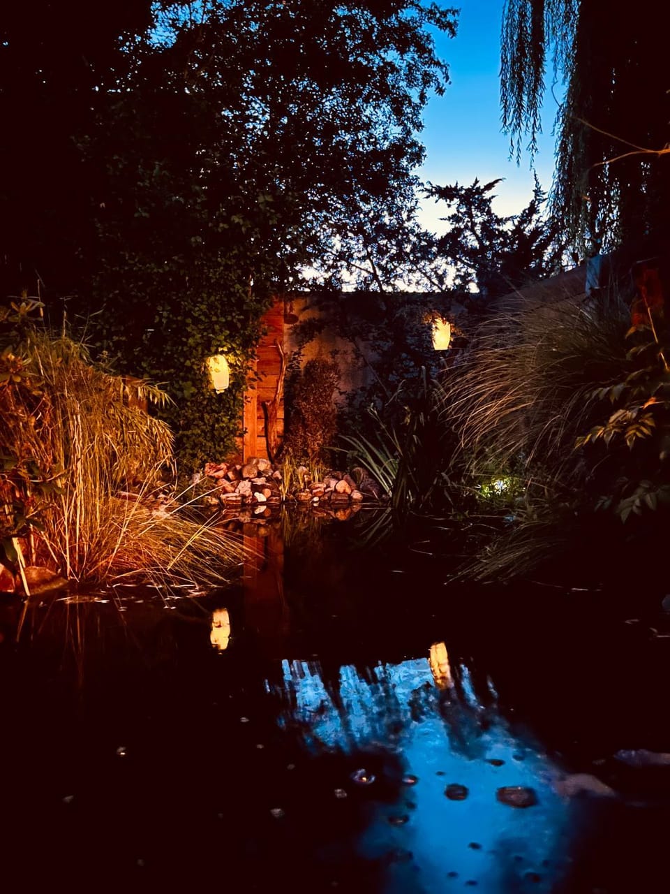 Garden view