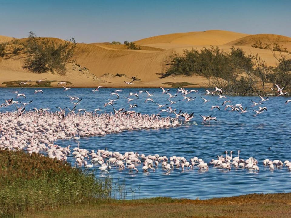 Natural landscape