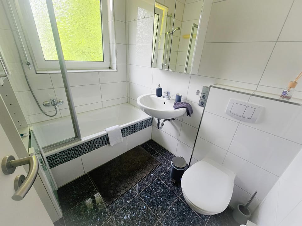 Shower, Toilet, Bathroom, Bath