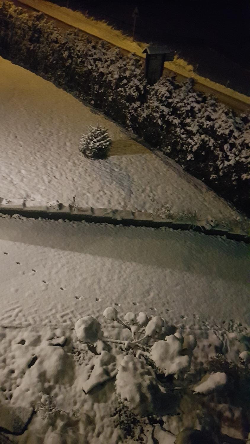 Winter