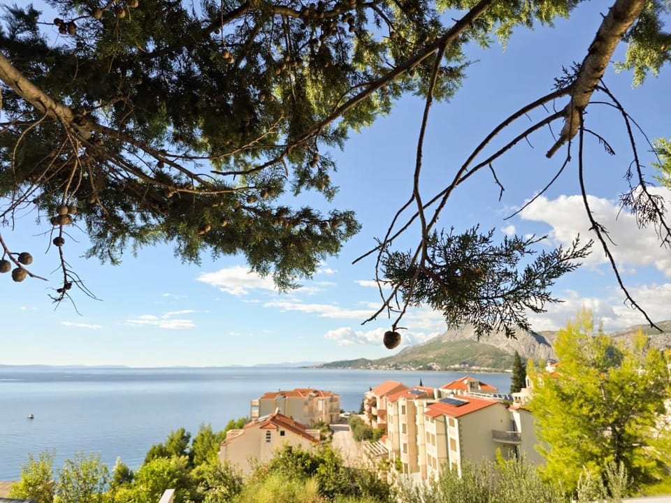 Property building, Natural landscape