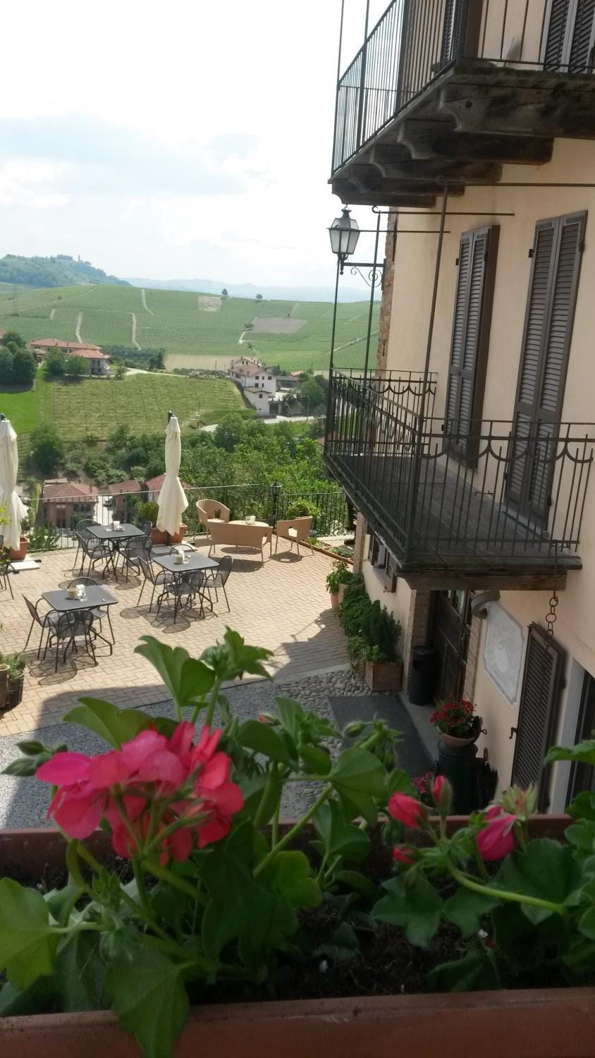 View (from property/room)