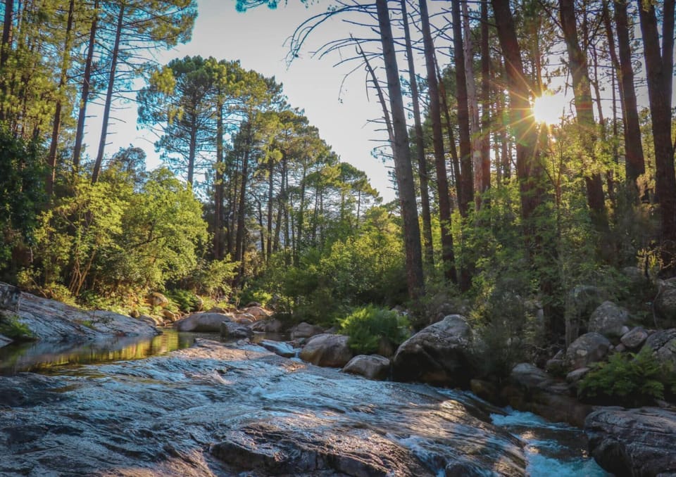 Lake view, River view