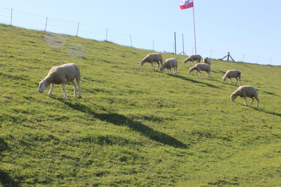 Haus Emilie House in Büsum