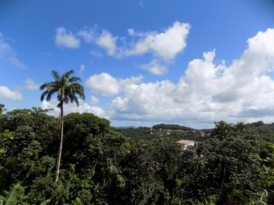 Natural landscape, Garden view