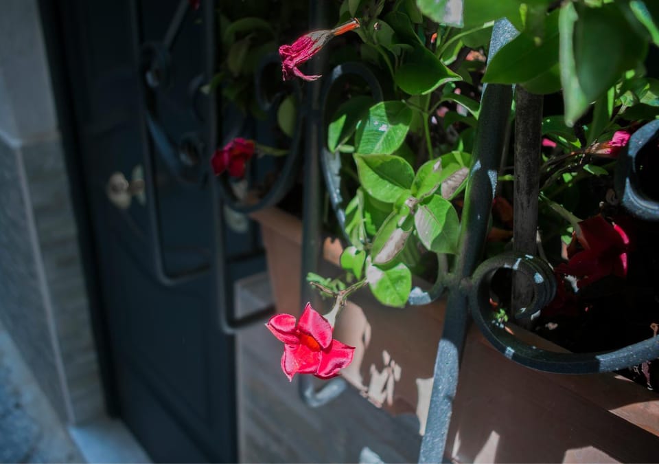 Property building, Day, Decorative detail