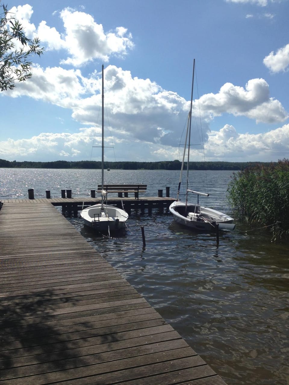 Activities, Lake view