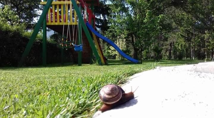 Children play ground