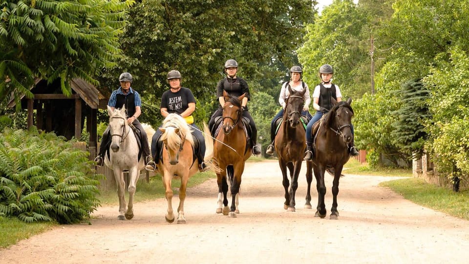 People, Natural landscape, Horse-riding, Horse-riding, Animals, group of guests
