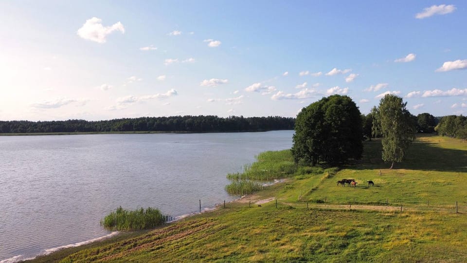 Nearby landmark, Spring, Natural landscape, Lake view
