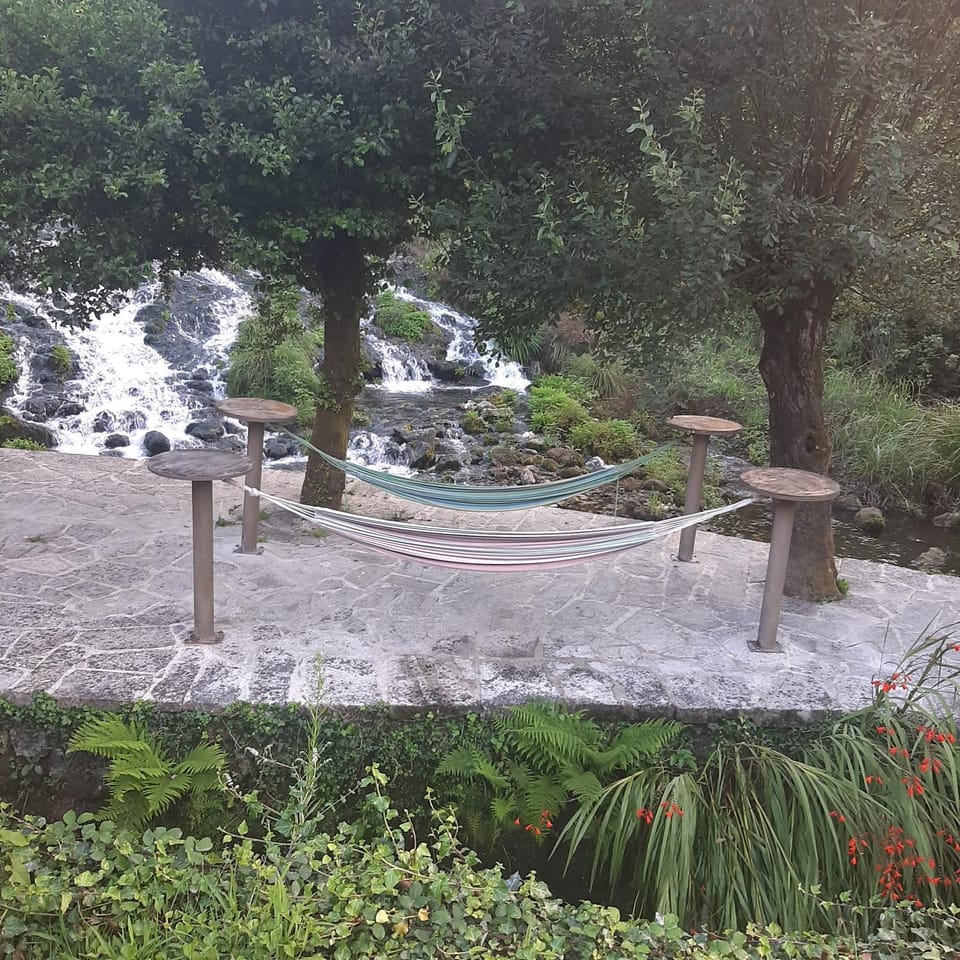 Natural landscape, Garden view