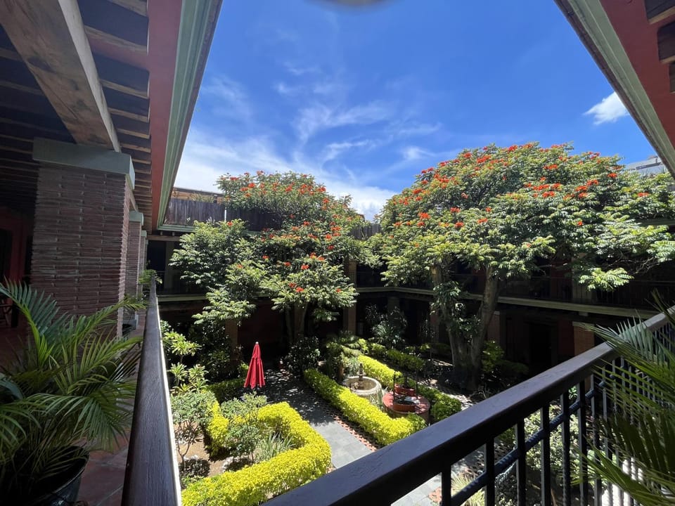 Garden view