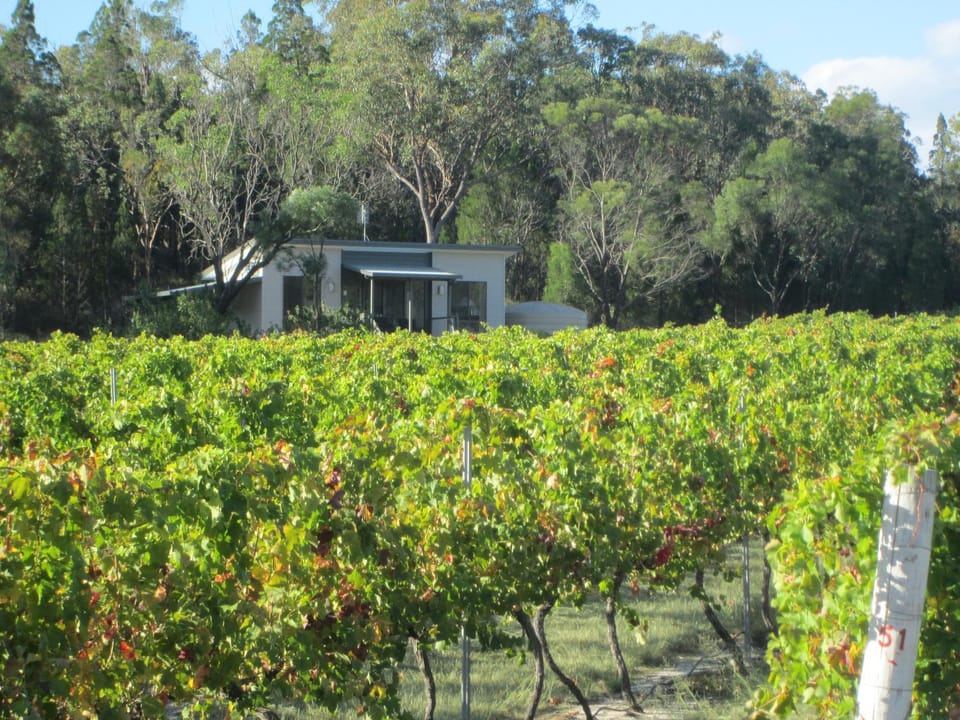 Clever Kid Wines Vineyard Cottages Farm Stay in Ballandean
