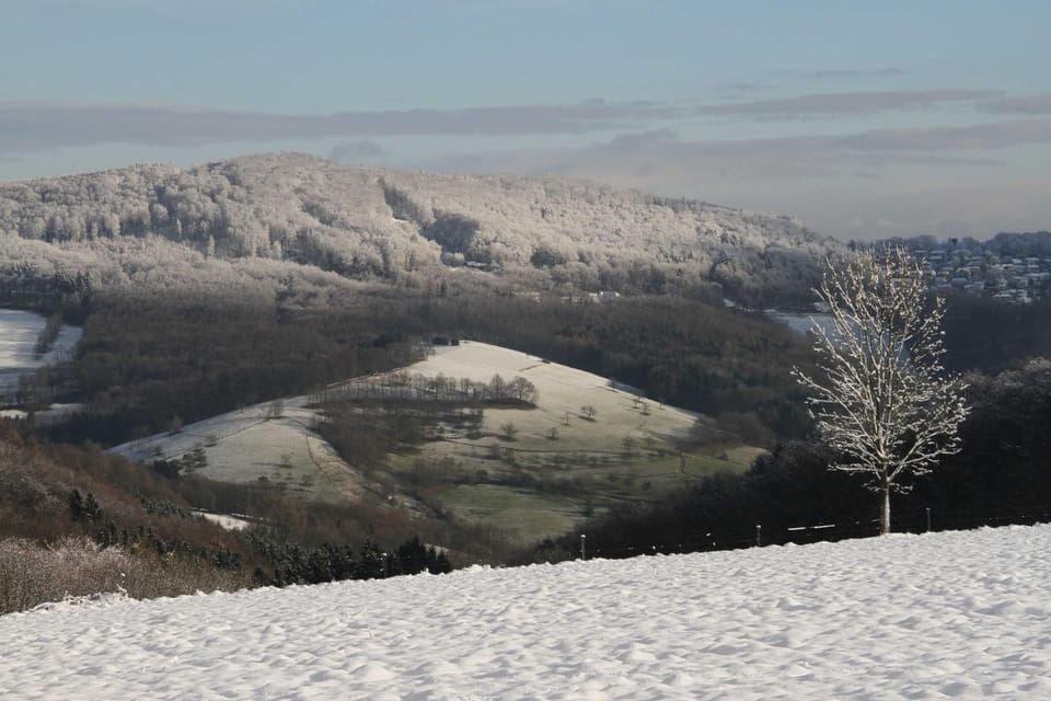 Natural landscape, Winter