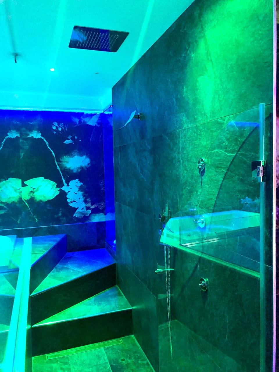 Shower, Bed, Hot Tub, Spa and wellness centre/facilities, Photo of the whole room, Landmark view