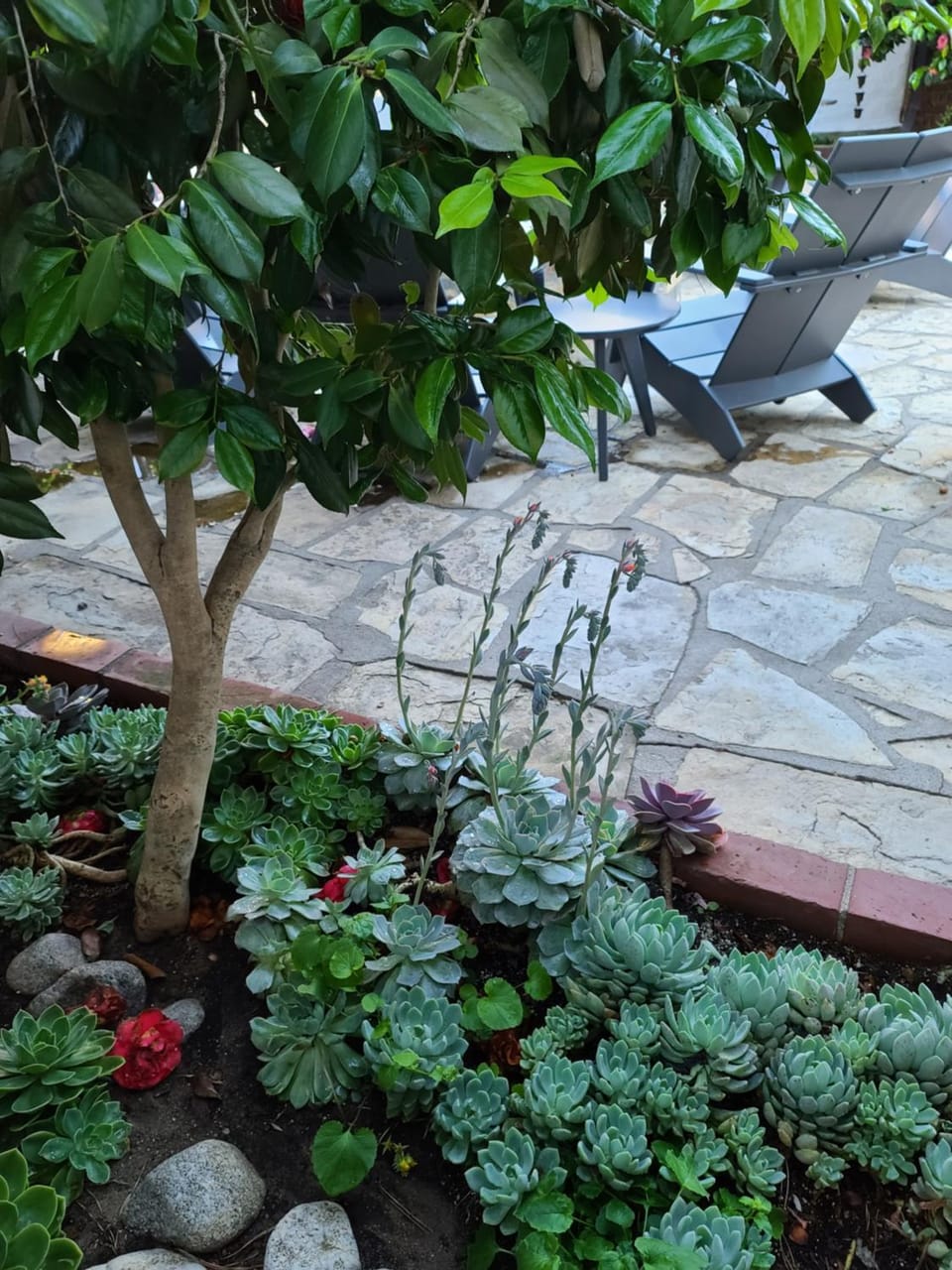 The Vagabond's House Boutique Inn Bed and Breakfast in Carmel by the Sea