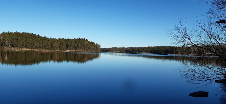 Lake view