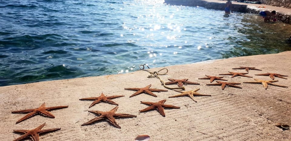 Apartman Jopa Apartment in Zadar County