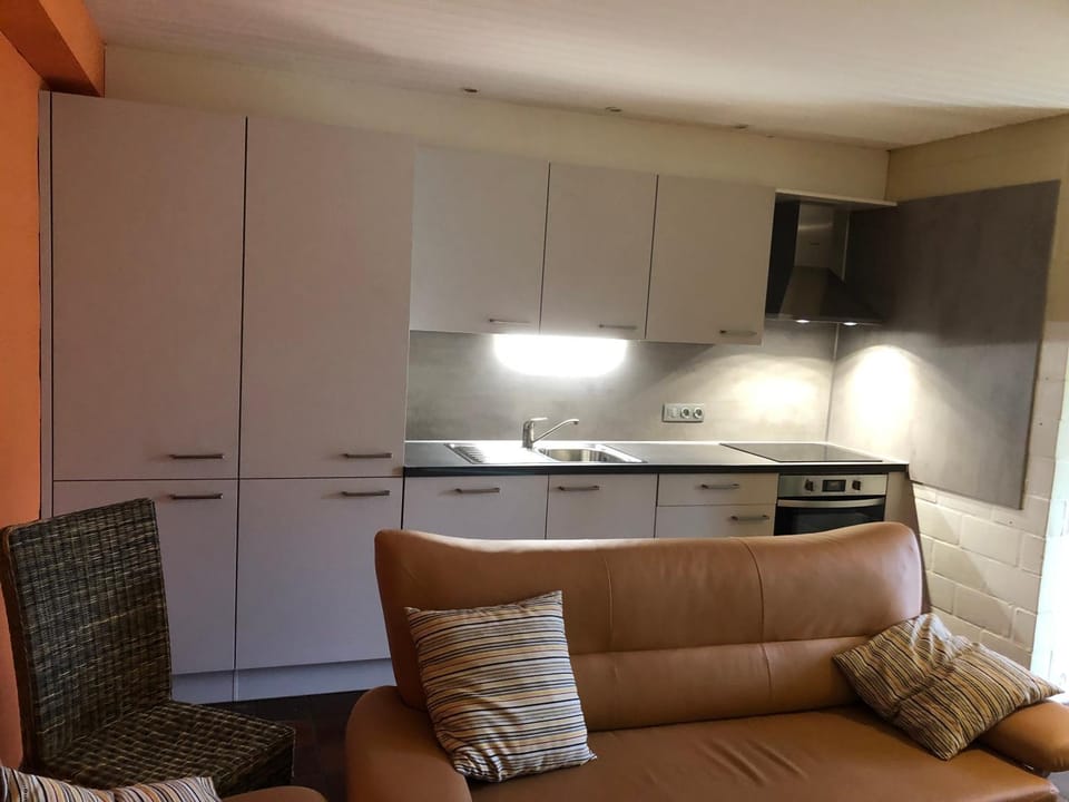 Kitchen or kitchenette, kitchen