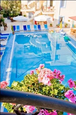 Merve Apartments, your home from home in central BODRUM, street cats frequent the property, not all apartments have balconies , ground floor have terrace with table and chairs Apartment hotel in Bodrum