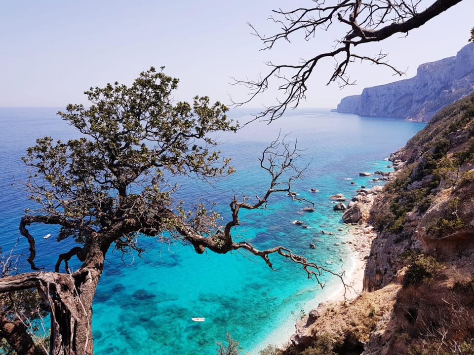 Natural landscape