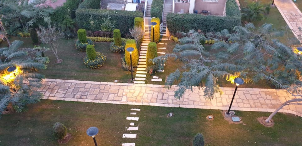Garden view