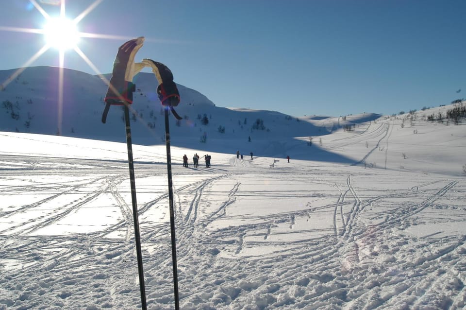 Natural landscape, Winter