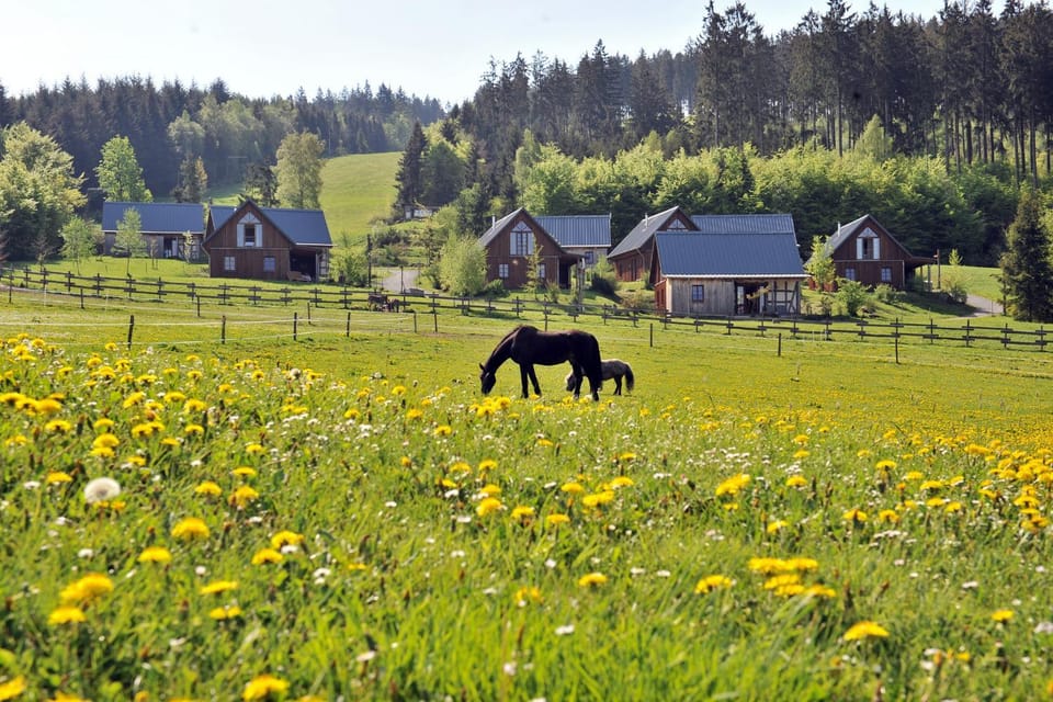 Natural landscape, View (from property/room)