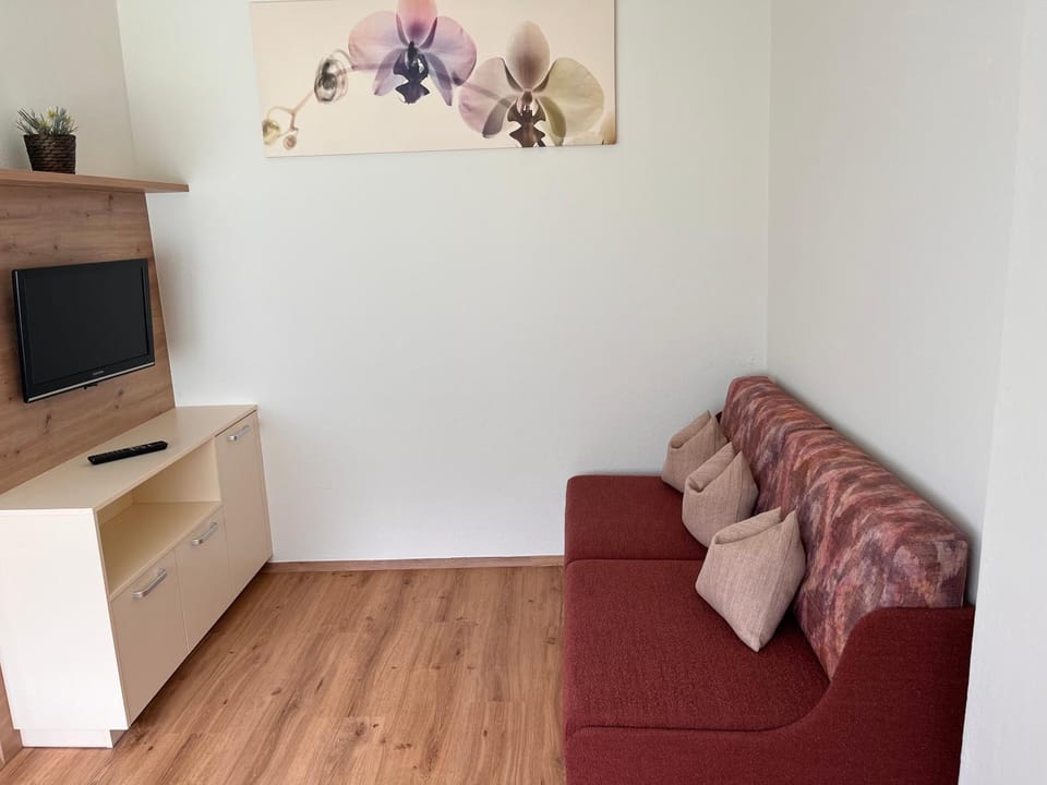 Haus Romanelli Apartment in Mayrhofen