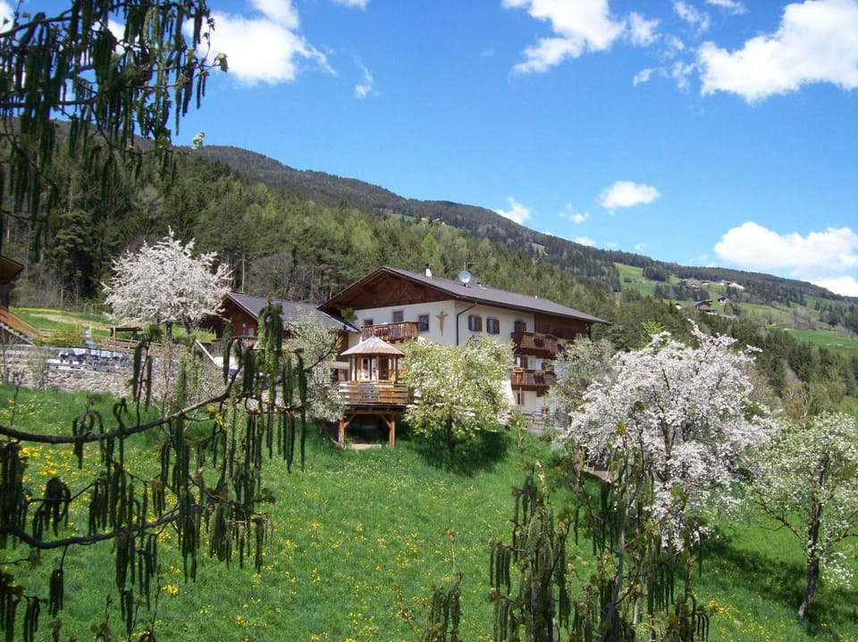 Property building, Spring