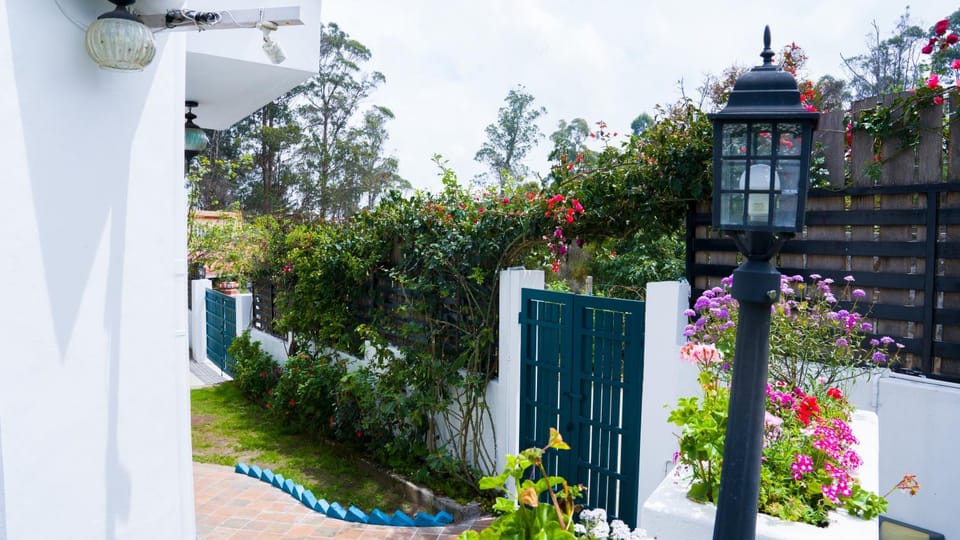 Garden view