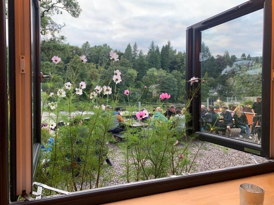 Balcony/Terrace, Drinks