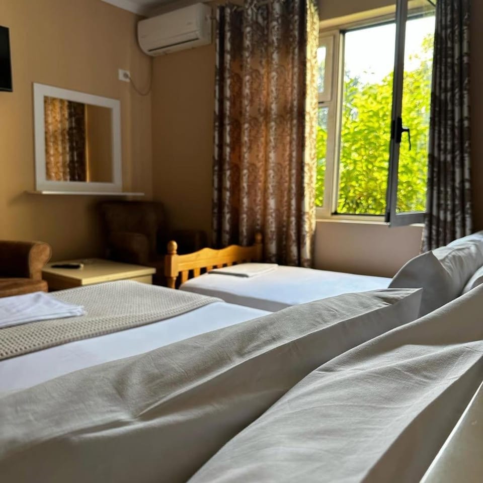Vila Park Hotel 1 Hotel in Tirana