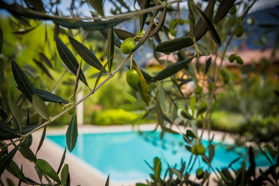 Decorative detail, Garden view, Pool view, Open Air Bath