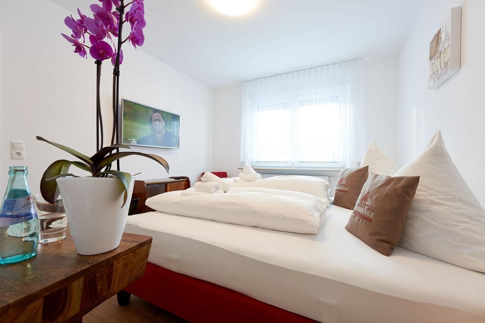 Bed, TV and multimedia, Bedroom