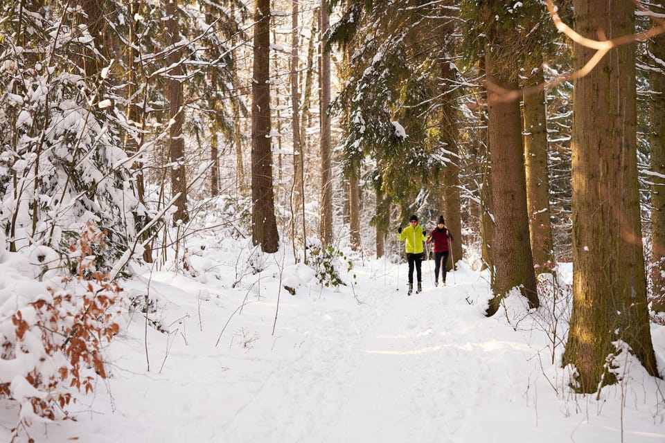 Winter, Skiing